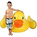 Inflatable Duck Float & Pool Raft - HUGE 80