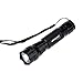 Alldaymall F-023 Wf-501B 395-410Nm UV-Ultraviolet LED Black Light Flashlight Torch with Features Money Detector, Leak Detector And Cat-Dog-Pet Urine Detector