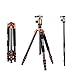 ZOMEI Light Weight Portable Carbon Fiber Travel Complete Tripod Come with Ball Head Carry Case for Digital/Camcorder/DSLR/SLR/Video Camera, Orange