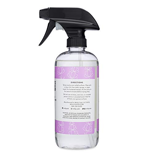 Molly's Suds Natural All Purpose Cleaner, Multi Surface Household Spray, Lavender Scent, 16 oz (2 Pack)