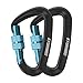 STURME Locking Carabiner Clip -12KN/2697lbs Aluminium Ultra Sturdy & Light, Screwgate Carabiner Heavy Duty for Hammocks Traveling Dog Leash Or Keychain and More (2 Pcs)
