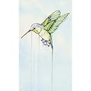 Hummingbirds essay image