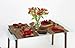 Pacific Merchants Acaciaware 16.5- by 5.5-Inch Acacia Wood Oval Baguette Serving Tray