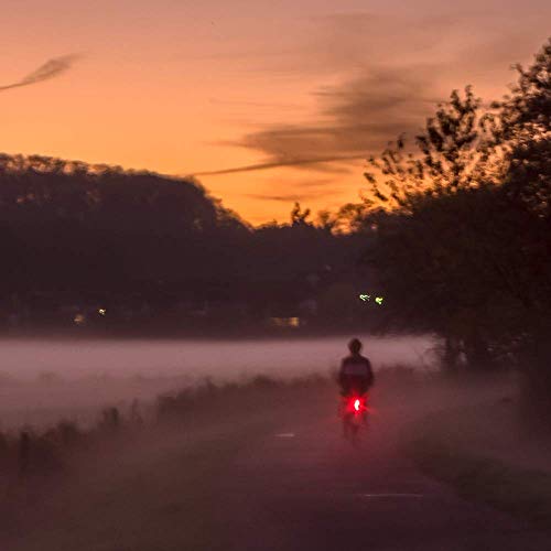 image for Whole Human Bright USB Rechargeable Bike Tail Light - IPX4 Weatherproo