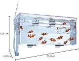 Fluval FL Hang On Holding and Breeding Box L view 6