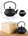 SUSTEAS Tetsubin Cast Iron Teapot with Stainless Steel Infuser Japanese tea pot kettle (29oz)