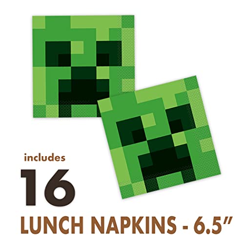 Minecraft Party Supplies, Minecraft Birthday Party Supplies for Boys or