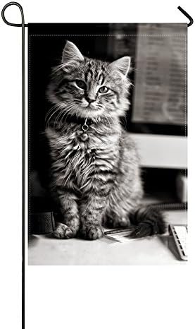 Ant Garden Flag Kitten Cat Computer Keyboard Apple Mac Black And White 12x18 Inches(without Flagpole)