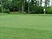 Penncross Bentgrass Putting Green Seed - 1 Lb.