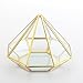 Handmade Gold Open Glass Geometric Terrarium Brass Diamond Succulent Fern Moss Plant Display Container Balcony Small Planter Indoor Centerpiece for Coffee Tabletop Decoration (NO Plants)