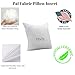 Square Sham Pillow Insert 22