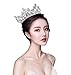 Vintage Rhinestones Crystal Crown for Women Wedding Bridal Tiara Flower Crown Hair Accessories (silver-white)