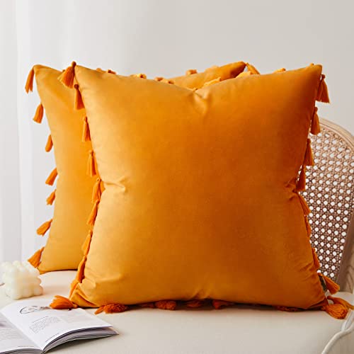 Topfinel Decorative Throw Pillow Covers 18 x 18 Set of 2,Boho Tassel