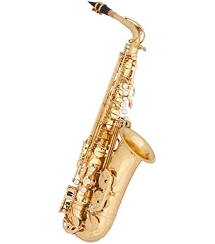 Amazon.com: Eldon by Antigua Alto Saxophone (AS-22