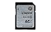 Kingston Digital SDHC Class 10 UHS-I 45R/10W Flash Memory Card (SD10VG2/16GB)