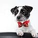 PUPTECK Christmas Dog Ties 16 Pack - Adjustable Small Pet Bow Tie Neckties for Puppy Cat Festival Collar Accessories
