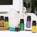 Aromatherapy Oil Gift Set by Eve Hansen - 6 10ml Essential Oils (Lavender, Peppermint, Eucalyptus, Tea Tree, Lemon, and Sandalwood)
