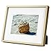 Golden State Art, Gold 8x10 Aluminum Frame for 8 x 10 Picture or 5x7 Photo with Mat - Shatter - Resistant Glass - Wall or Tabletop Display - 1 Pack