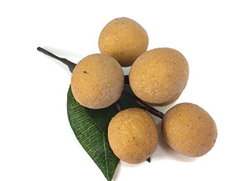 perfect2desire Longan Artificial Fruit Lifelike Simulation Leaves Faux Fake Fruit Home Kitchen Cabinet Decoration Realistic Clay Assortment - Thumbnail 4