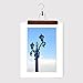 JS HANGER Skirt Hangers Non-Slip Wooden Collection Slack hangers, Walnut Finish, 10-Pack