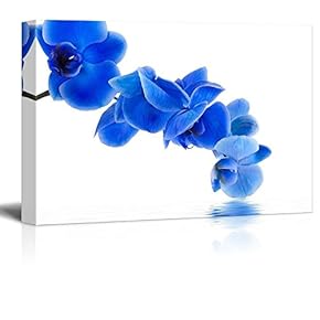 Blue Orchid Blooms Dipping into Water II - Canvas Art Home Art - 12x18 inches