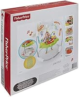 chm91 roaring rainforest jumperoo