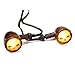 2pcs Skull Amber Lens Motorcycle LED Turn signal Lights Indicators Blinkers Lamp-Black