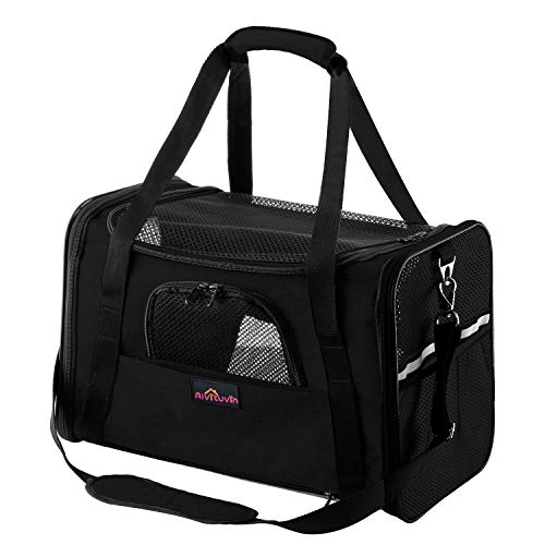 Softsided Cat Carrier