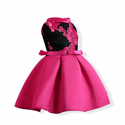AYOMIS Flower Girl Pageant Dress Kids Party Embroidery Wedding Dresses 2-9 Years(Hot Pink,4-5Y)