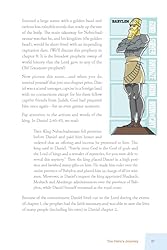 The Non-Prophet's Guide to the Book of