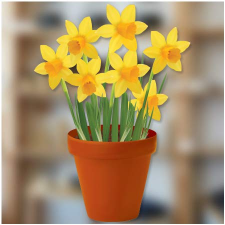 Small Daffodils in a Pot Flower Window Sticker - Static Cling Windows Decoration or Garden Decor for Greenhouse