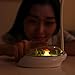 CHARHODEN Desk Lamp LED Office Desk Lamp,Reading Lamp for Kids Computer Desk Lamp,Working Night Lamp with Usb Charging Port