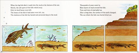 Fossils Tell Of Long Ago Let S Read And Find Out Science