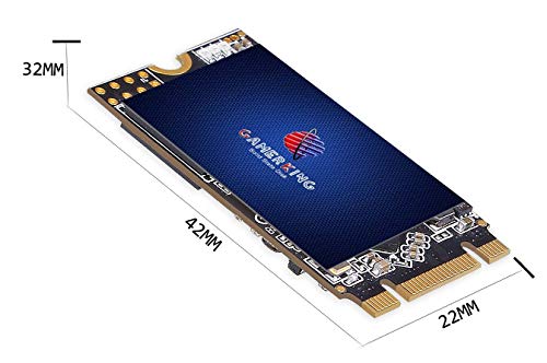 GAMERKING SSD M.2 2242 256GB NGFF Internal Solid