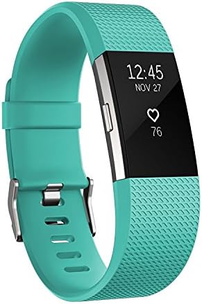 Sturdy Life Fitbit Charge 2 Band, Heart Rate Fitness Wristband, LightTeal