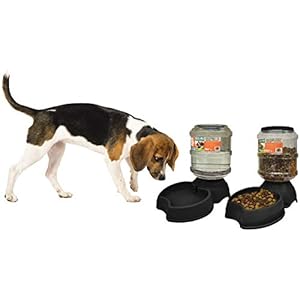Automatic Feeders Archives Fur Kiddos