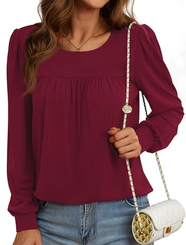 Neineiwu Women's Long Sleeve Tunic Tops Pleated Front Shirt Loose Fit at Amazon
