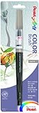 Pentel Arts Color Brush, Gray, 1-Pack