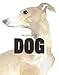 The Book of the Dog by Angus Hyland, Kendra Wilson