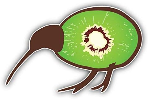 DG Graphics Kiwi Bird Art Decor 5'' x 3'' Vinyl Decal Sticker Wall Window Any Smooth Surface