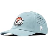 Branded Bills Officially Licensed x Auburn Tigers Performance Dad Hat Collection Aubie The Tiger PVC