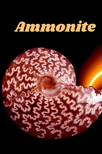 Ammonite Fossil Collectors: lined Journal, fossil notebook: 6" x 9", 110 pages.