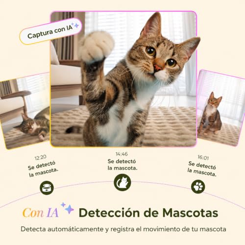 ARENTI Dispensador Croquetas para Perro Gato con Cámara 3MP WiFi 5G/2.4G, 4.5L, con Fuente Agua Inoxidable, Visión Ajustable, IA Detección Mascotas/Sonidos, Alerta Falta Comida, Audio Bidireccional