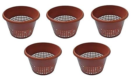 Orchid Pot/Hydroponic Plastic Pot 8-Inch, Brown (Set of 5 Nos) - TT Traders