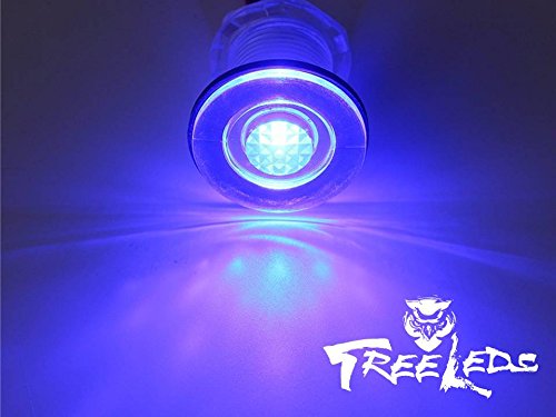 LED Livewell Light (Blue)