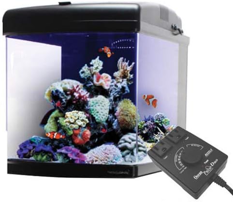 nano cube fish tank
