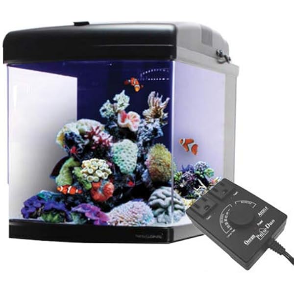 nano cube aquarium