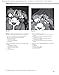 Head and Neck Imaging: Case Review Series