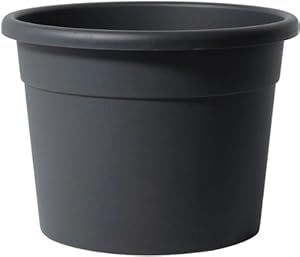 TELCOM Vaso Conico Minerva 15 Terracotta