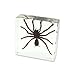 REALBUG Tarantular Paperweight (3 x 3 x 1 1/8
